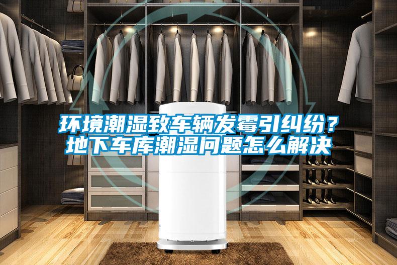 環(huán)境潮濕致車輛發(fā)霉引糾紛？地下車庫(kù)潮濕問(wèn)題怎么解決