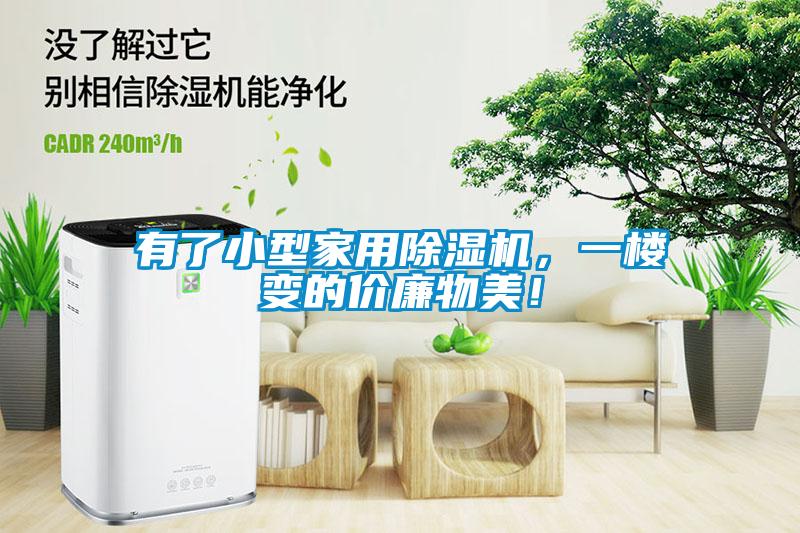 有了小型家用除濕機，一樓變的價(jià)廉物美！
