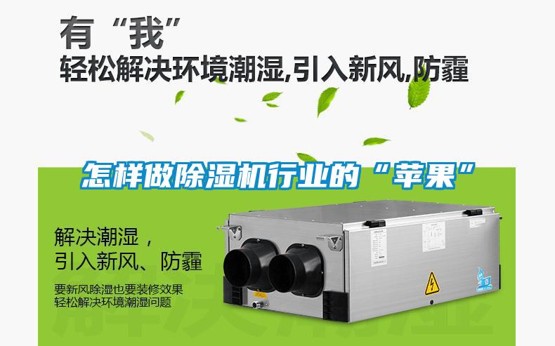 怎樣做除濕機(jī)行業(yè)的“蘋果”