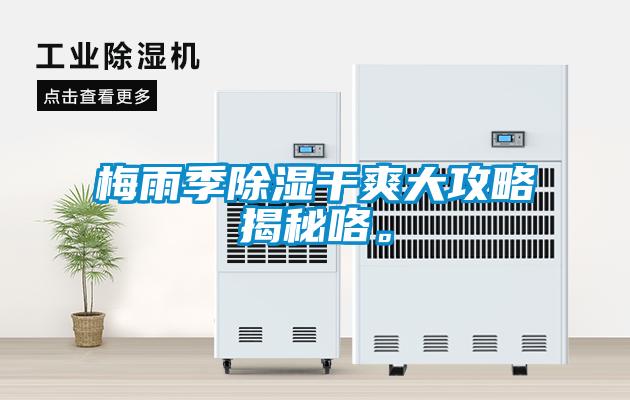 梅雨季除濕干爽大攻略揭秘咯。
