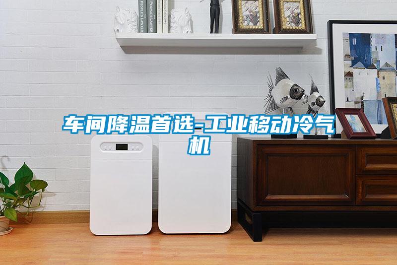 車(chē)間降溫首選-工業(yè)移動(dòng)冷氣機