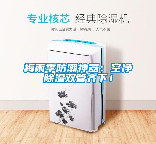 梅雨季防潮神器：空凈除濕雙管齊下！