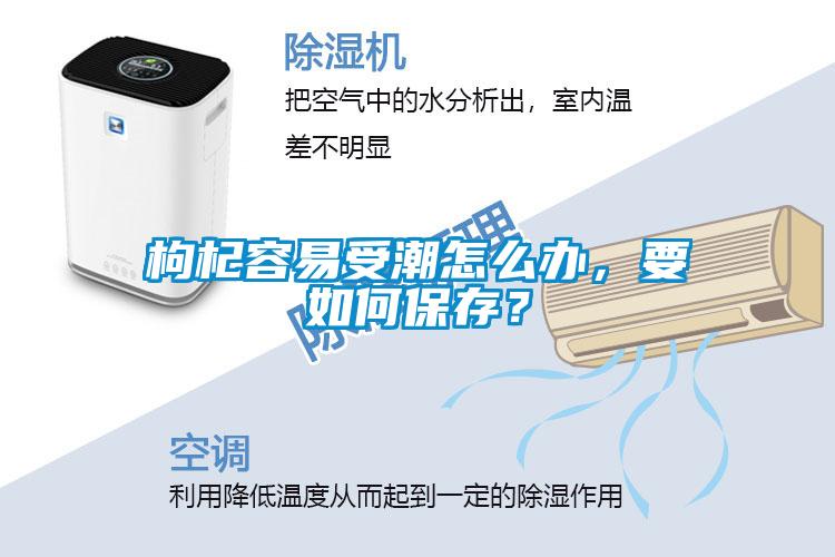 枸杞容易受潮怎么辦，要如何保存？