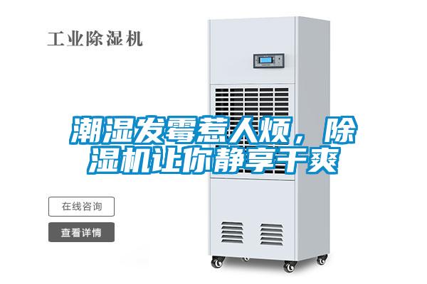 潮濕發(fā)霉惹人煩，除濕機讓你靜享干爽