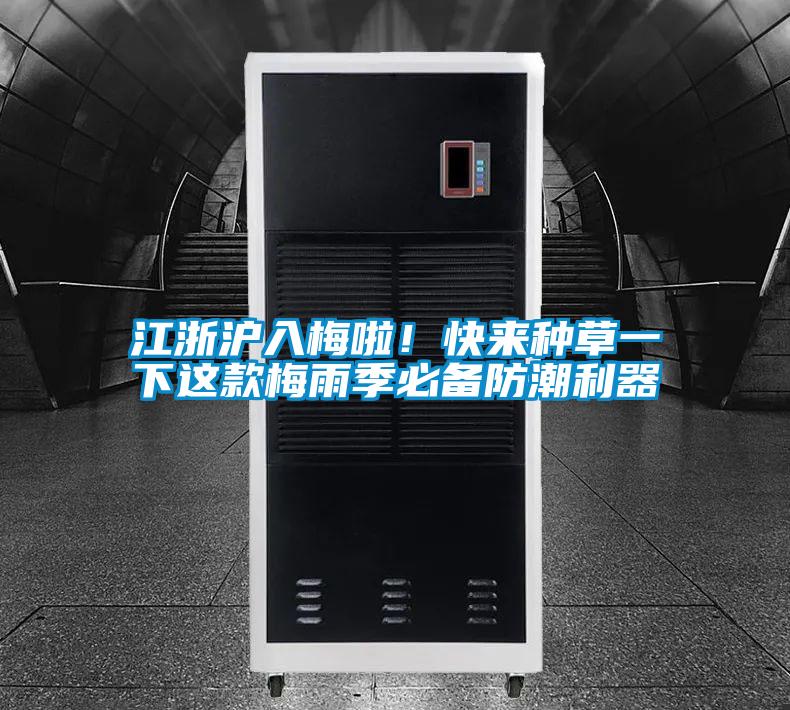 江浙滬入梅啦！快來(lái)種草一下這款梅雨季必備防潮利器