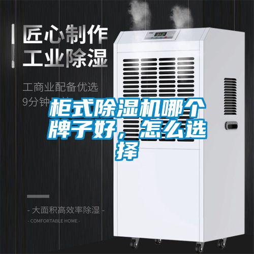 柜式除濕機(jī)哪個(gè)牌子好，怎么選擇