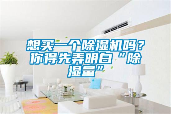 想買(mǎi)一個(gè)除濕機嗎？你得先弄明白“除濕量”
