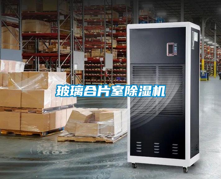 玻璃合片室除濕機(jī)