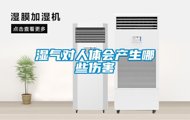 濕氣對人體會(huì )產(chǎn)生哪些傷害