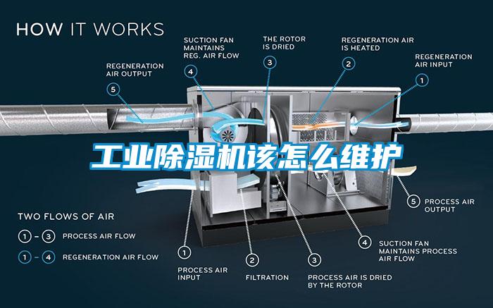 工業(yè)除濕機該怎么維護