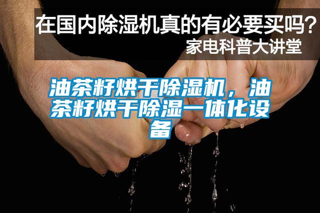 油茶籽烘干除濕機，油茶籽烘干除濕一體化設備