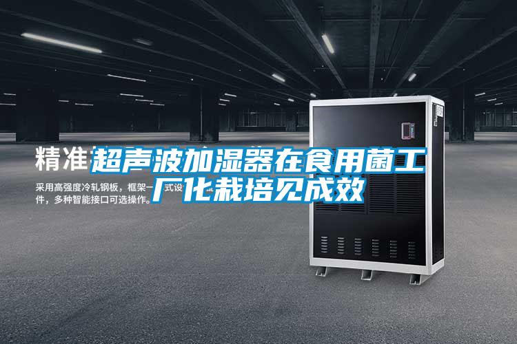 超聲波加濕器在食用菌工廠(chǎng)化栽培見(jiàn)成效