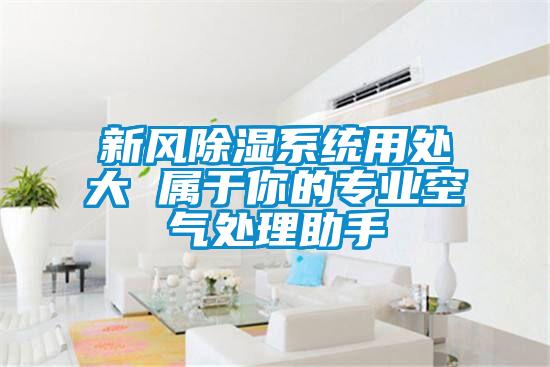 新風除濕系統(tǒng)用處大 屬于你的專業(yè)空氣處理助手