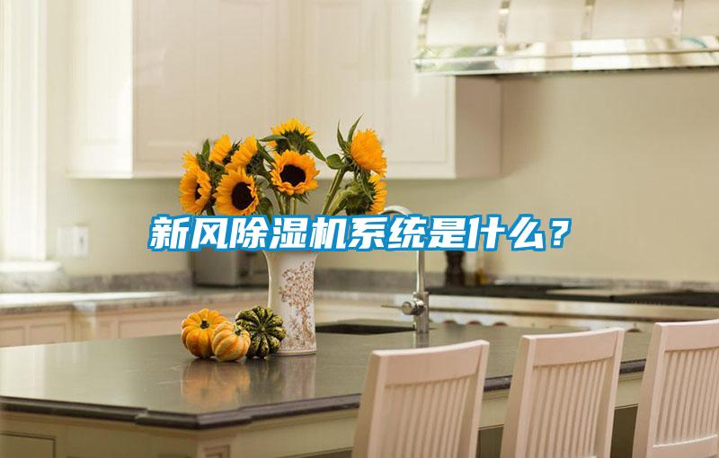 新風(fēng)除濕機(jī)系統(tǒng)是什么？