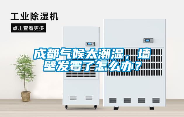 成都氣候太潮濕，墻壁發(fā)霉了怎么辦？