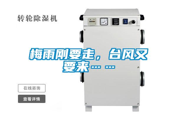 梅雨剛要走，臺風又要來……