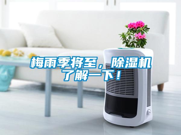 梅雨季將至，除濕機了解一下！