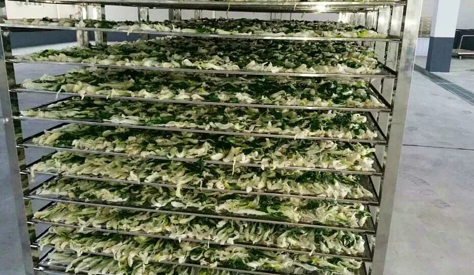 菜干需求一直都很大，蔬菜烘干機很有市場(chǎng)