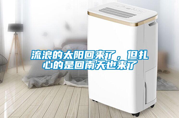 流浪的太陽回來了，但扎心的是回南天也來了