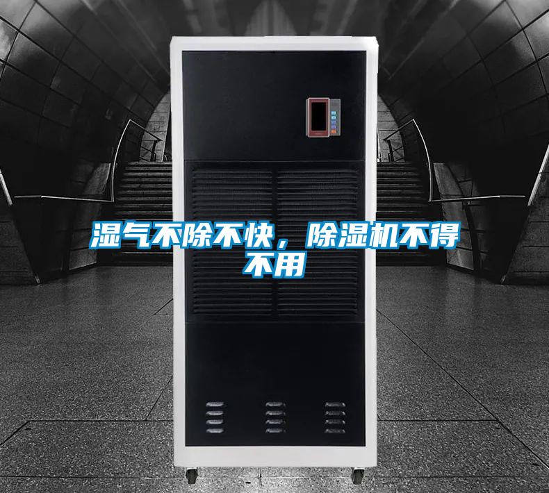 濕氣不除不快，除濕機不得不用