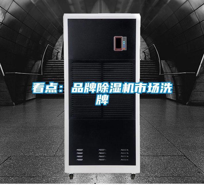 看點(diǎn)：品牌除濕機(jī)市場(chǎng)洗牌