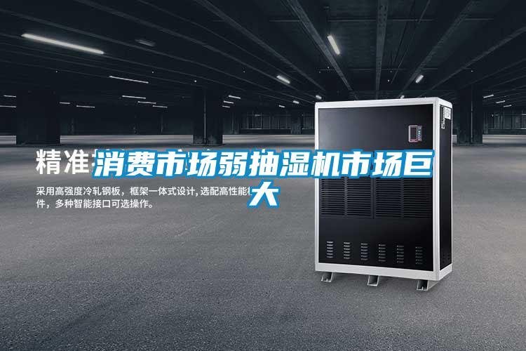 消費市場(chǎng)弱抽濕機市場(chǎng)巨大