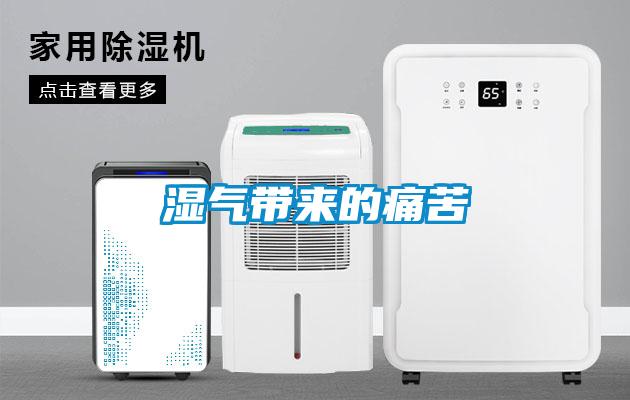 濕氣帶來(lái)的痛苦