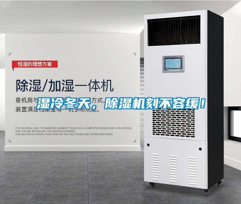 濕冷冬天，除濕機刻不容緩！
