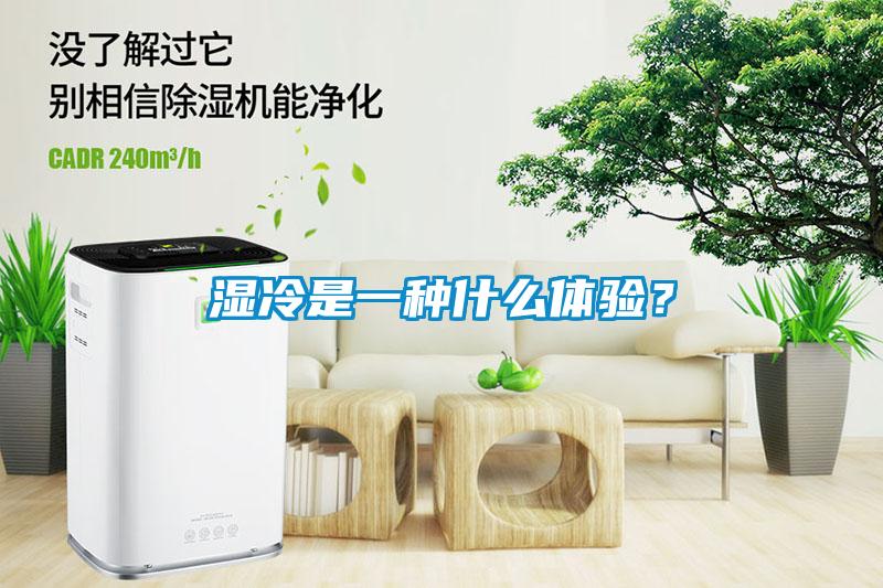 濕冷是一種什么體驗？