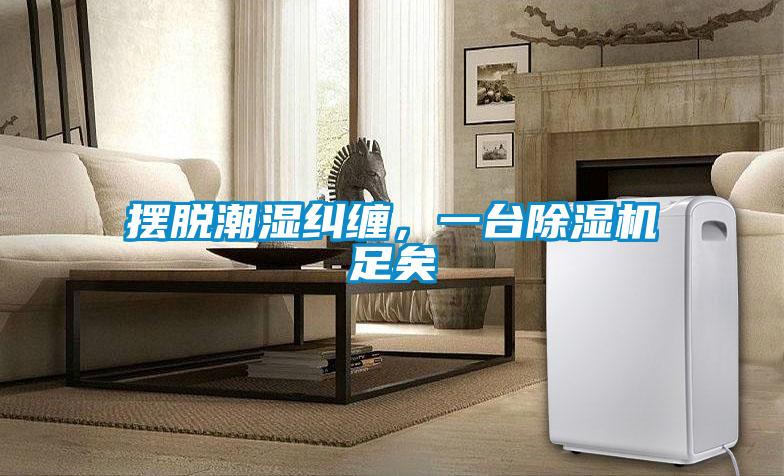 擺脫潮濕糾纏，一臺除濕機足矣