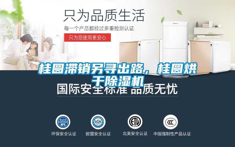 桂圓滯銷另尋出路，桂圓烘干除濕機(jī)