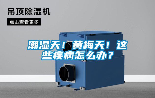 潮濕天！黃梅天！這些疾病怎么辦？
