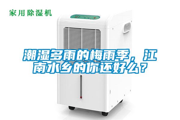 潮濕多雨的梅雨季，江南水鄉的你還好么？
