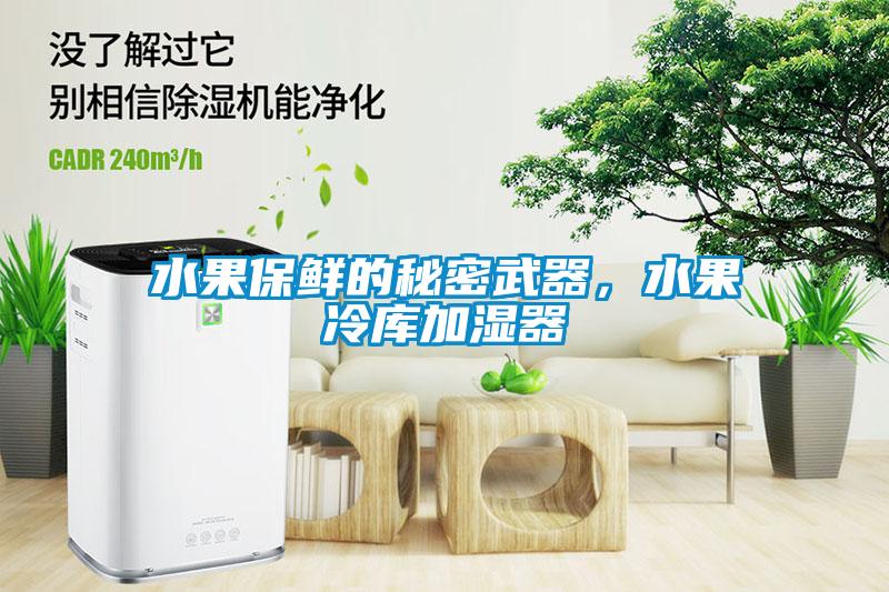 水果保鮮的秘密武器，水果冷庫加濕器