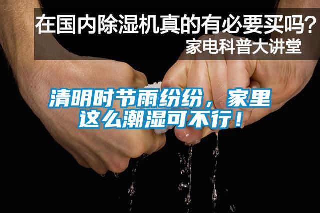 清明時節(jié)雨紛紛，家里這么潮濕可不行！