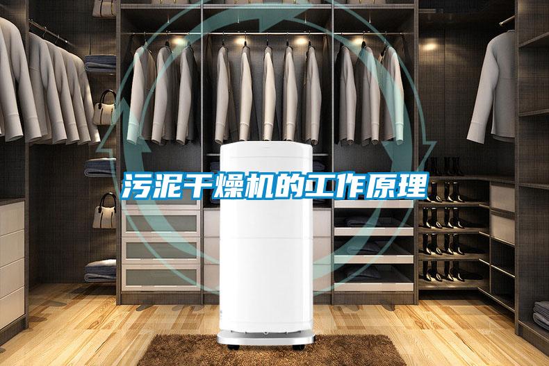 污泥干燥機(jī)的工作原理