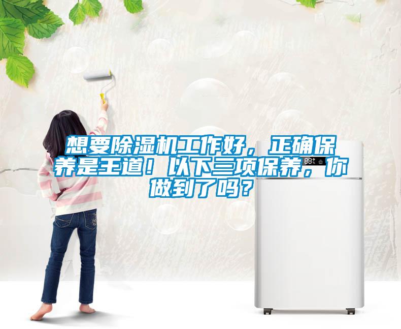 想要除濕機工作好，正確保養是王道！以下三項保養，你做到了嗎？