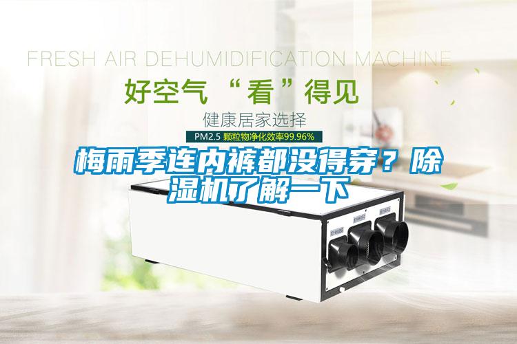梅雨季連內(nèi)褲都沒得穿？除濕機了解一下