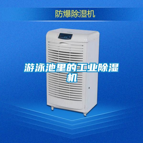 游泳池里的工業(yè)除濕機