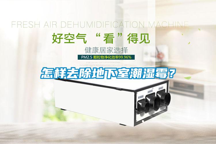 怎樣去除地下室潮濕霉？