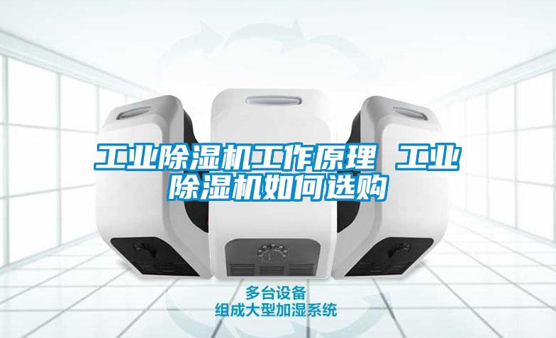 工業(yè)除濕機工作原理 工業(yè)除濕機如何選購