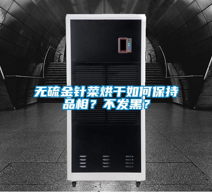 無(wú)硫金針菜烘干如何保持品相？不發(fā)黑？