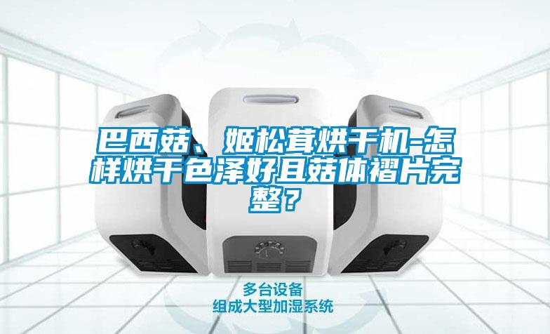 巴西菇、姬松茸烘干機-怎樣烘干色澤好且菇體褶片完整？