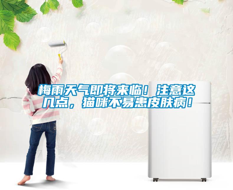 梅雨天氣即將來(lái)臨！注意這幾點(diǎn)，貓咪不易患皮膚??！