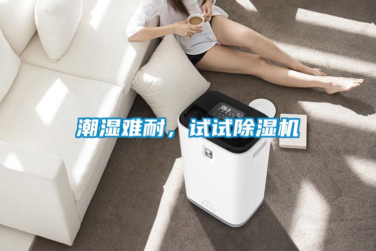 潮濕難耐，試試除濕機(jī)