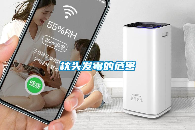 枕頭發(fā)霉的危害