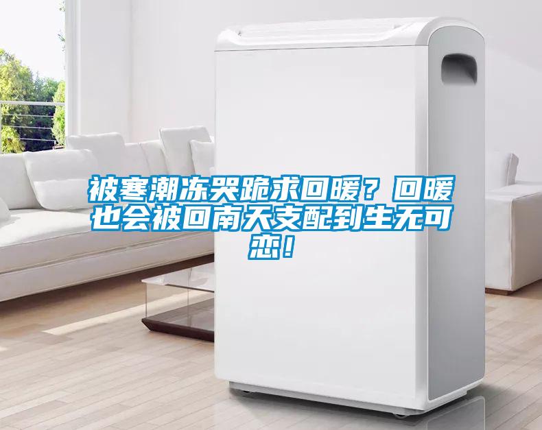 被寒潮凍哭跪求回暖？回暖也會被回南天支配到生無可戀！