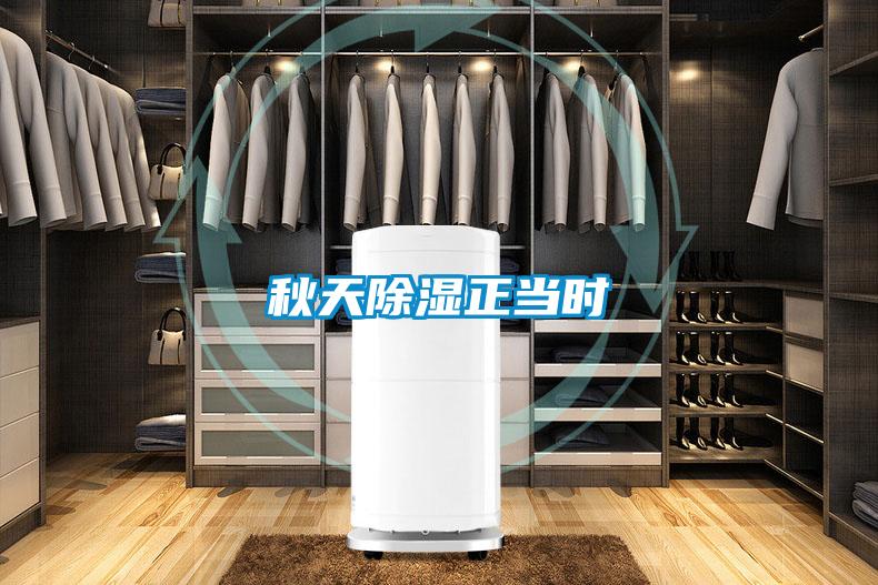 秋天除濕正當時