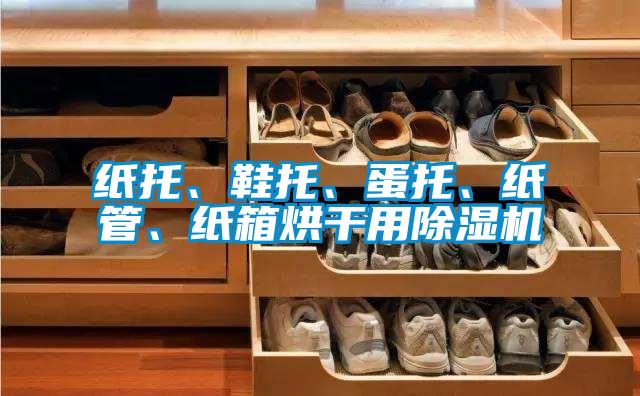 紙托、鞋托、蛋托、紙管、紙箱烘干用除濕機(jī)