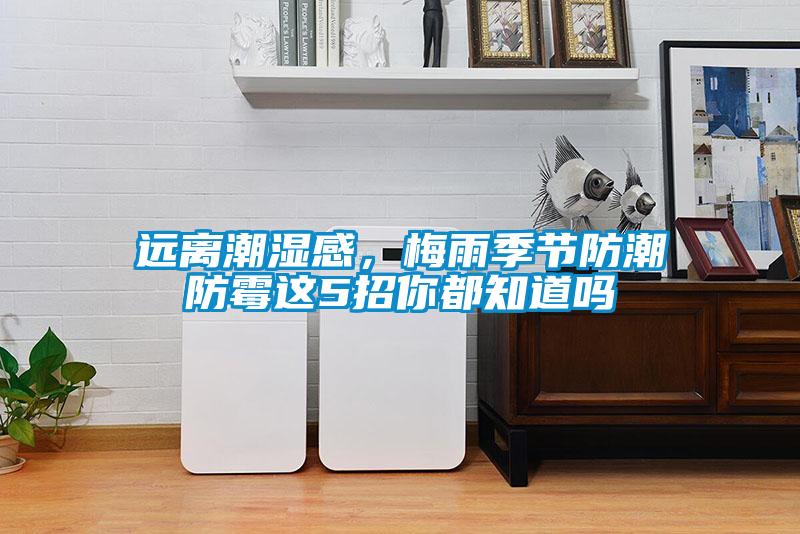 遠離潮濕感，梅雨季節(jié)防潮防霉這5招你都知道嗎
